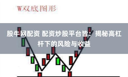 股牛网配资 配资炒股平台皆：揭秘高杠杆下的风险与收益