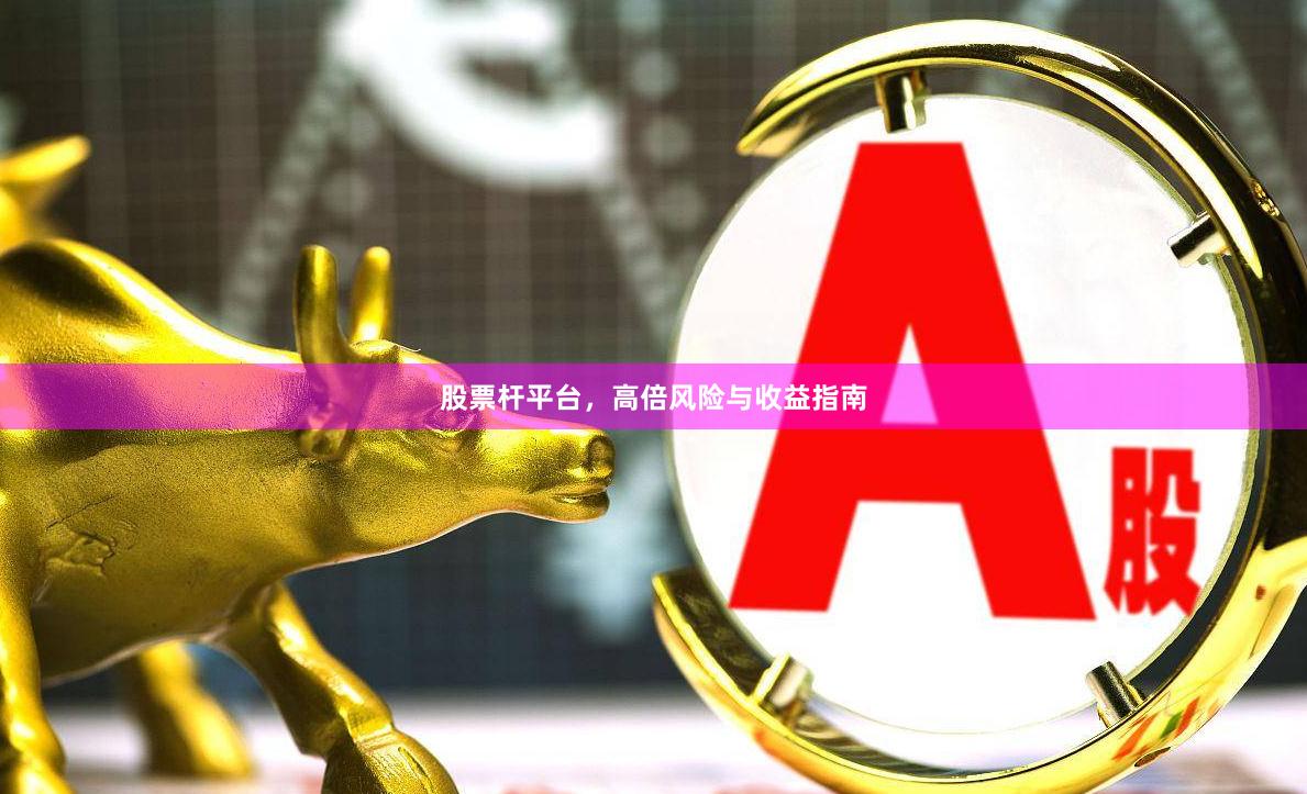 股票杆平台，高倍风险与收益指南