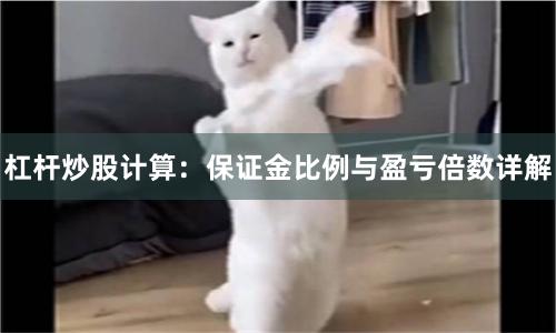 杠杆炒股计算：保证金比例与盈亏倍数详解