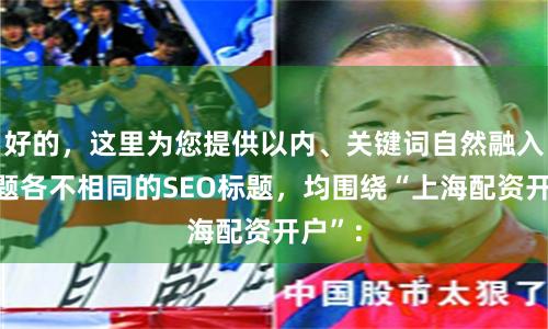 好的，这里为您提供以内、关键词自然融入且标题各不相同的SEO标题，均围绕“上海配资开户”：